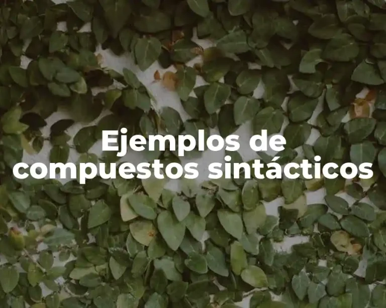 Ejemplos de compuestos sintácticos