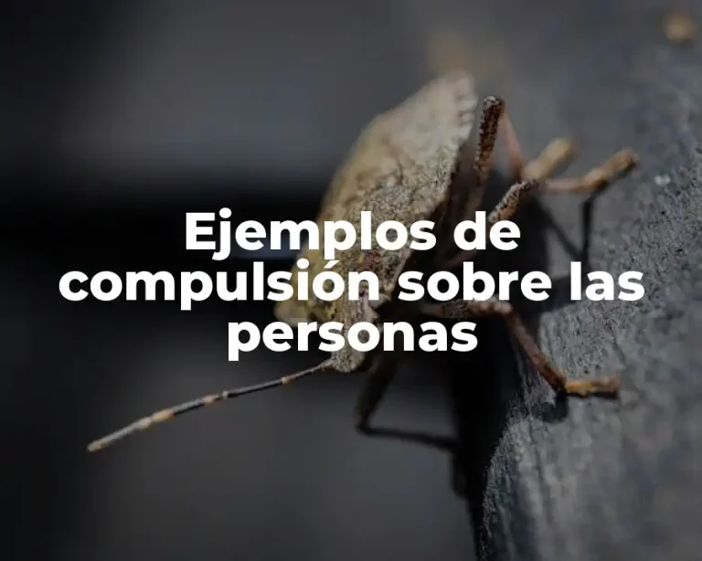 Ejemplos de compulsión sobre las personas