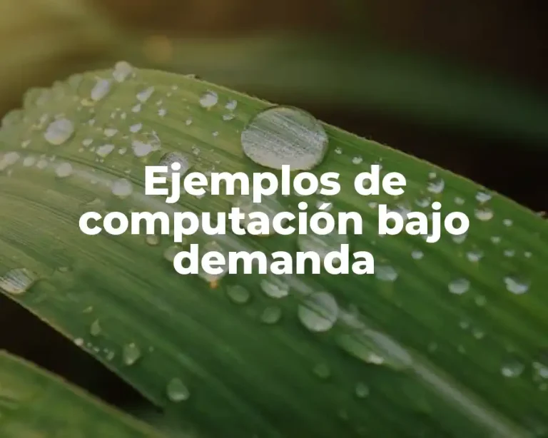 Ejemplos de computación bajo demanda