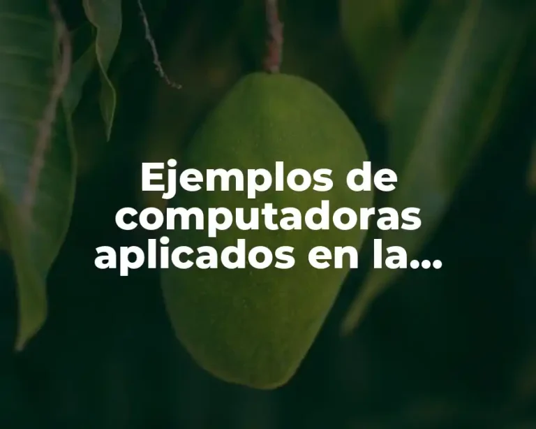 Ejemplos de computadoras aplicados en la medicina y Significado