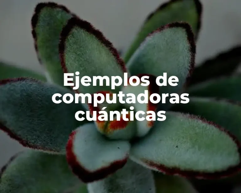 Ejemplos de computadoras cuánticas