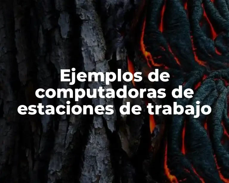 Ejemplos de computadoras de estaciones de trabajo