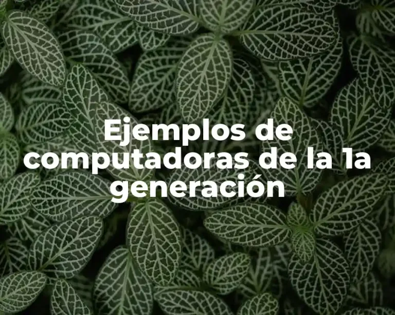 Ejemplos de computadoras de la 1a generación