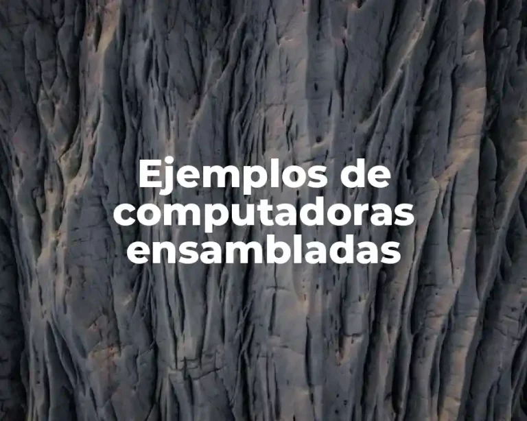 Ejemplos de computadoras ensambladas