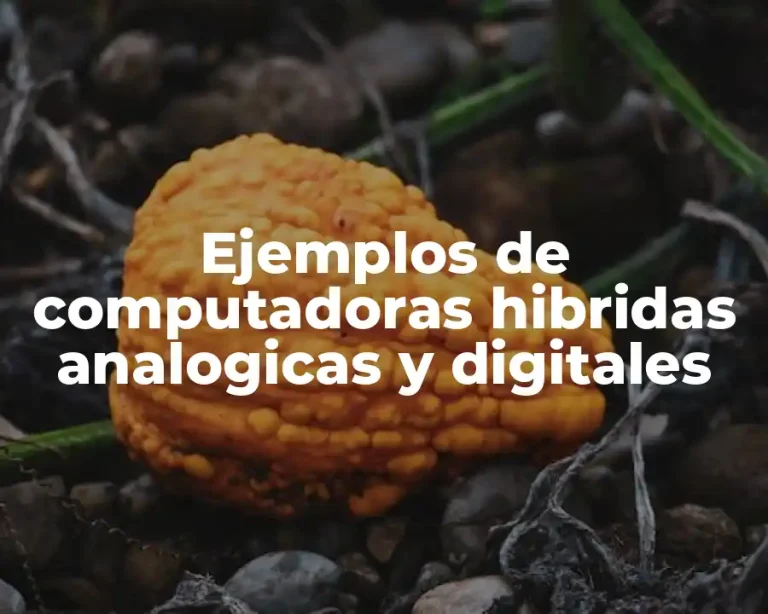 Ejemplos de computadoras hibridas analogicas y digitales