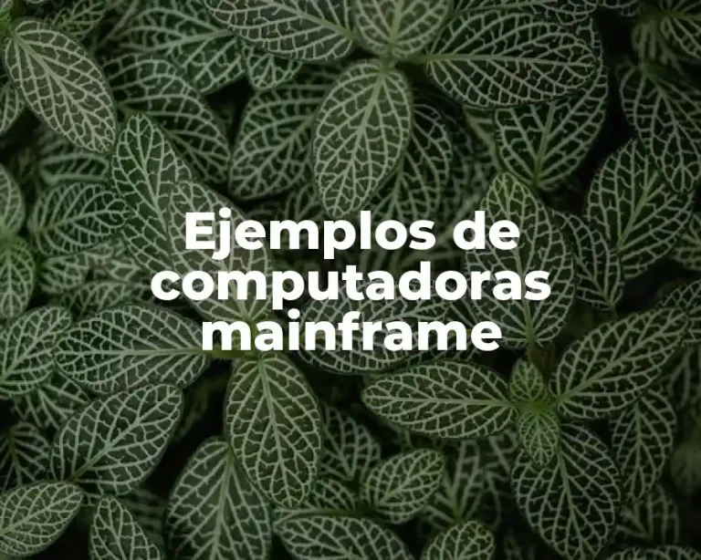 Ejemplos de computadoras mainframe
