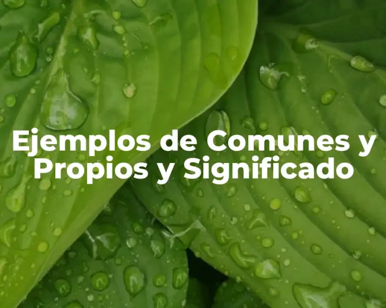 Ejemplos de Comunes y Propios y Significado