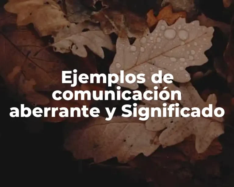 Ejemplos de comunicación aberrante y Significado