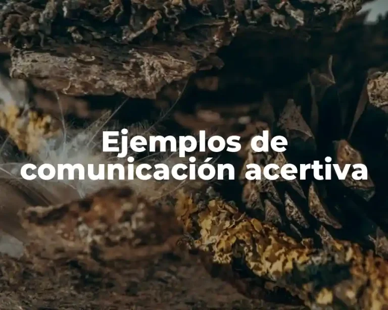 Ejemplos de comunicación acertiva