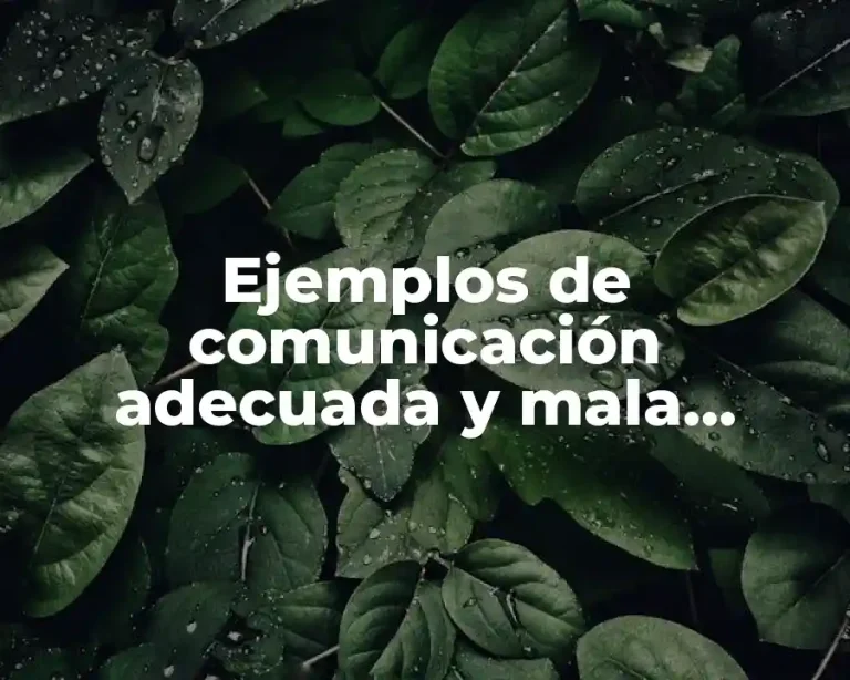 Ejemplos de comunicación adecuada y mala comunicación en la escuela