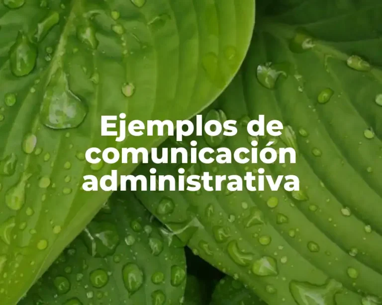 Ejemplos de comunicación administrativa