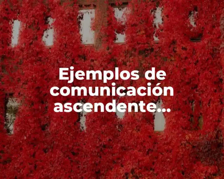 Ejemplos de comunicación ascendente, descendente y lateral