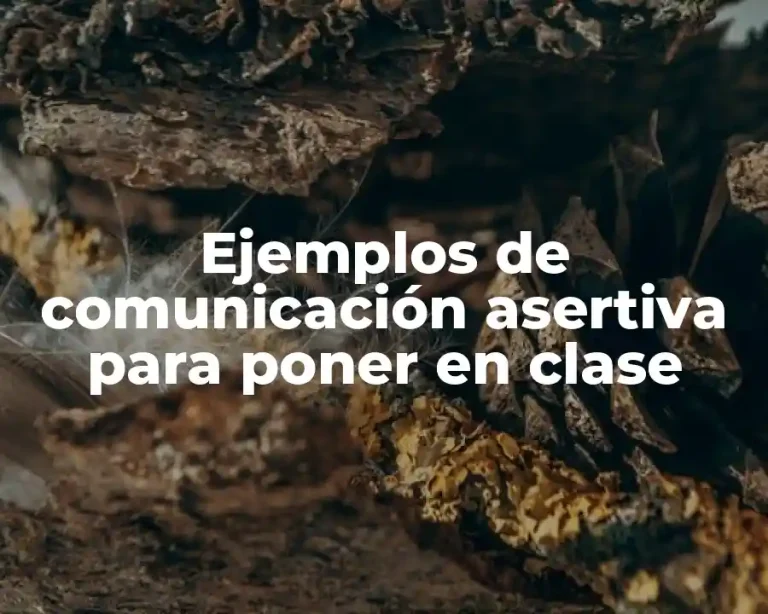 Ejemplos de comunicación asertiva para poner en clase