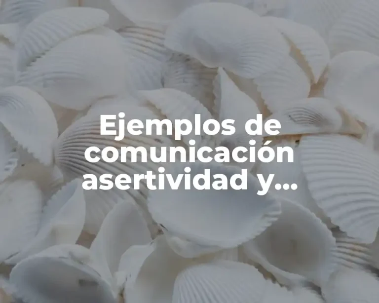 Ejemplos de comunicación asertividad y Significado