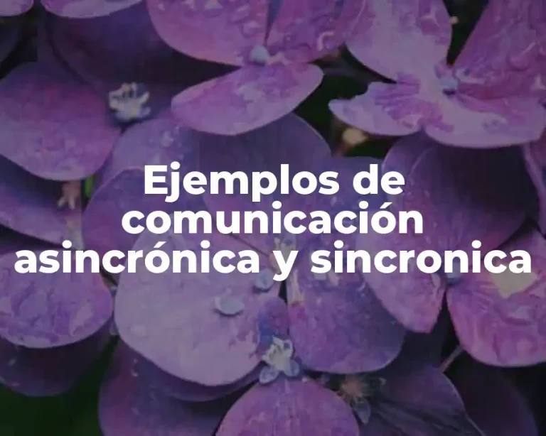 Ejemplos de comunicación asincrónica y sincronica