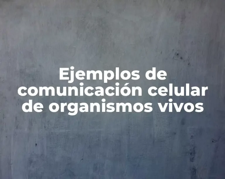 Ejemplos de comunicación celular de organismos vivos