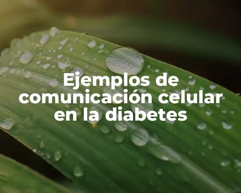 Ejemplos de comunicación celular en la diabetes