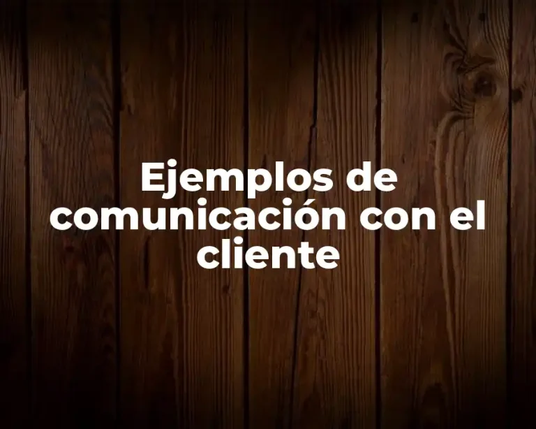 Ejemplos de comunicación con el cliente