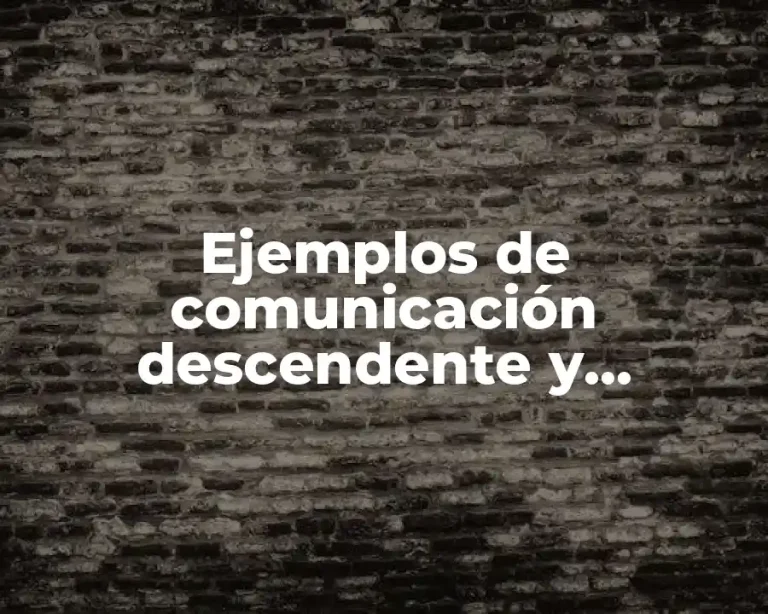Ejemplos de comunicación descendente y ascendente
