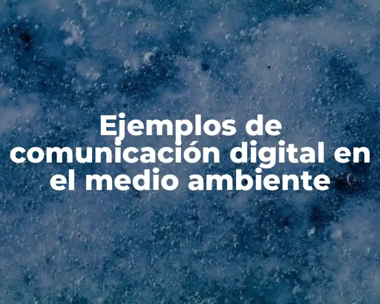 Ejemplos de comunicación digital en el medio ambiente