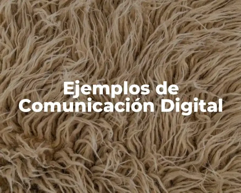 Ejemplos de Comunicación Digital