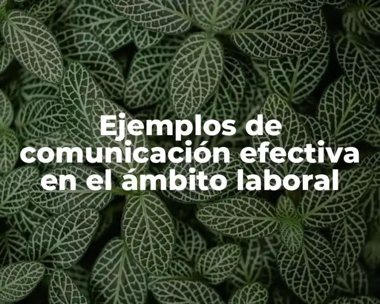 Ejemplos de comunicación efectiva en el ámbito laboral