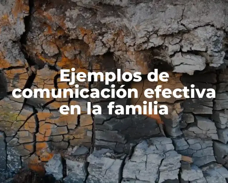 Ejemplos de comunicación efectiva en la familia