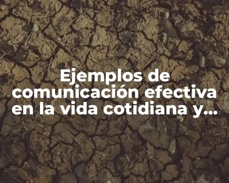 Ejemplos de comunicación efectiva en la vida cotidiana y Significado