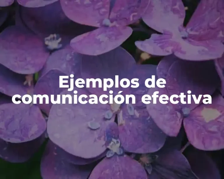Ejemplos de comunicación efectiva