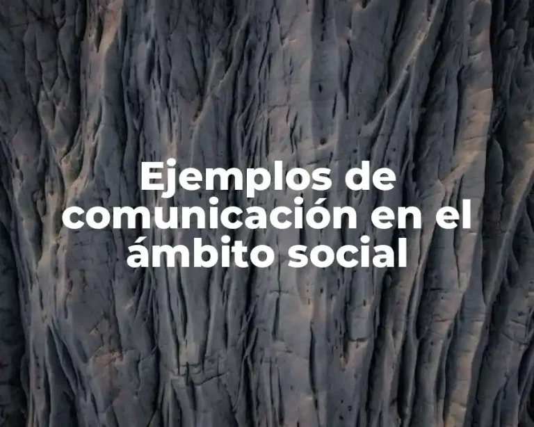Ejemplos de comunicación en el ámbito social