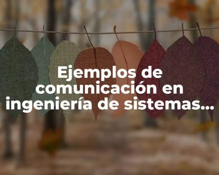 Ejemplos de comunicación en ingeniería de sistemas y Significado
