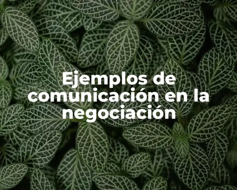 Ejemplos de comunicación en la negociación
