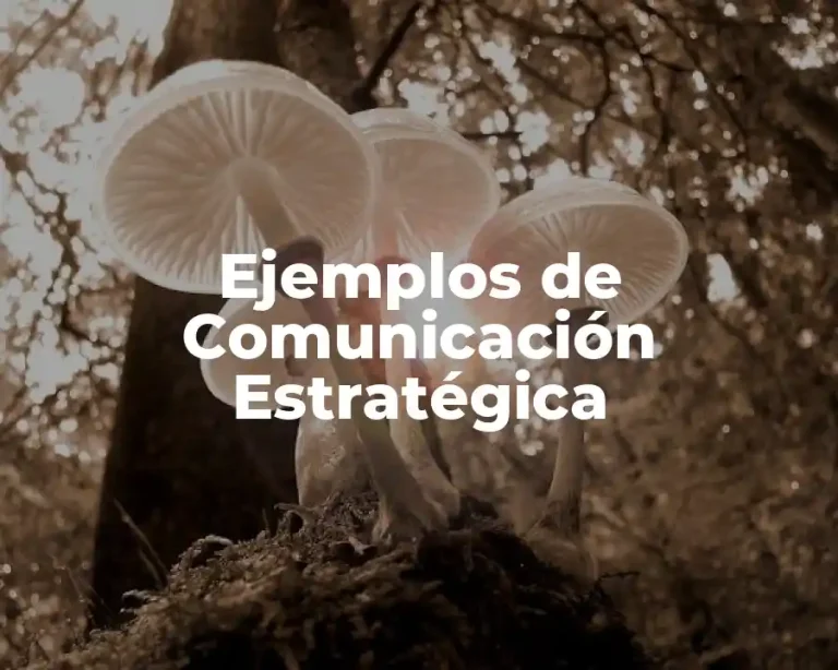 Ejemplos de Comunicación Estratégica