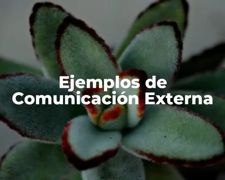 Ejemplos de Comunicación Externa
