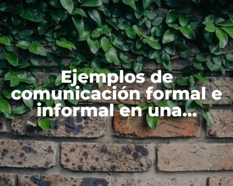 Ejemplos de comunicación formal e informal en una empresa