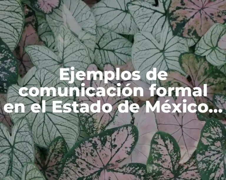 Ejemplos de comunicación formal en el Estado de México y Significado