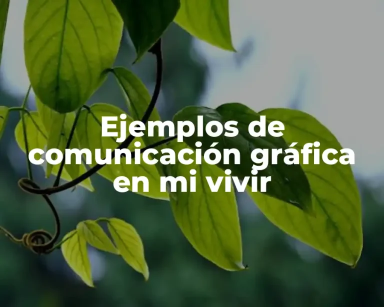 Ejemplos de comunicación gráfica en mi vivir