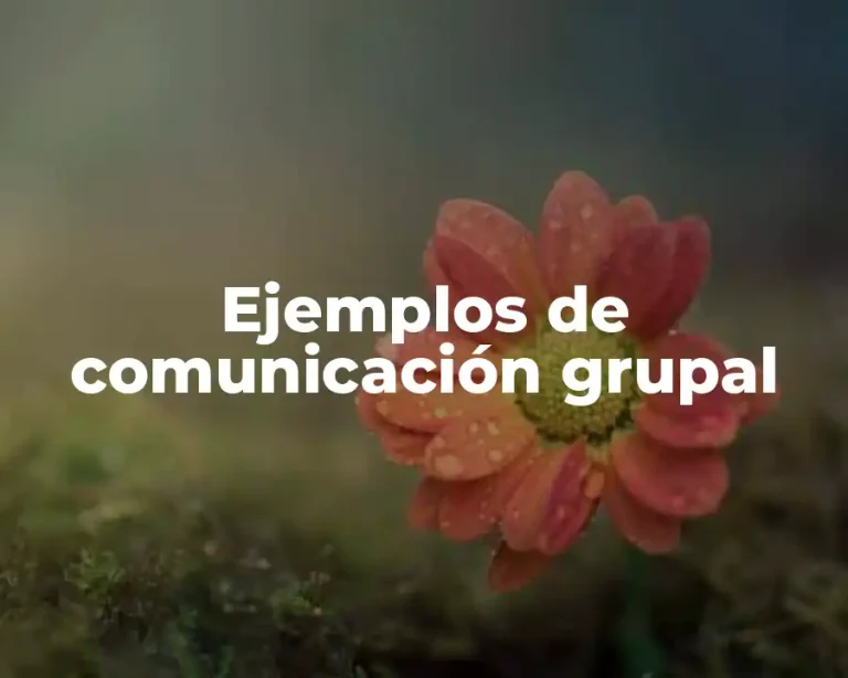 Ejemplos de comunicación grupal