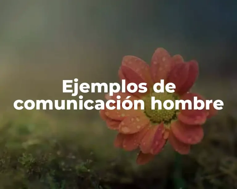 Ejemplos de comunicación hombre
