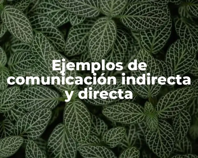 Ejemplos de comunicación indirecta y directa