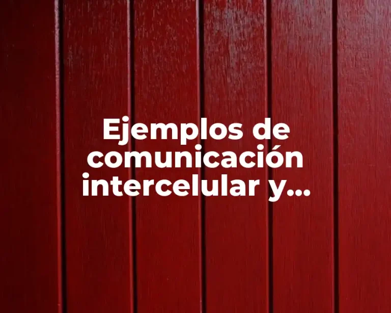 Ejemplos de comunicación intercelular y transmisión de señales