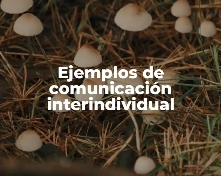 Ejemplos de comunicación interindividual