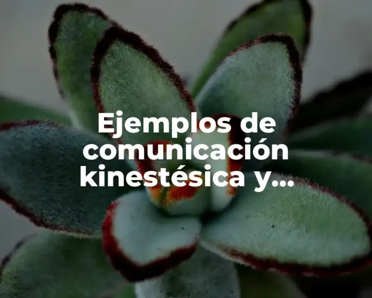 Ejemplos de comunicación kinestésica y Significado