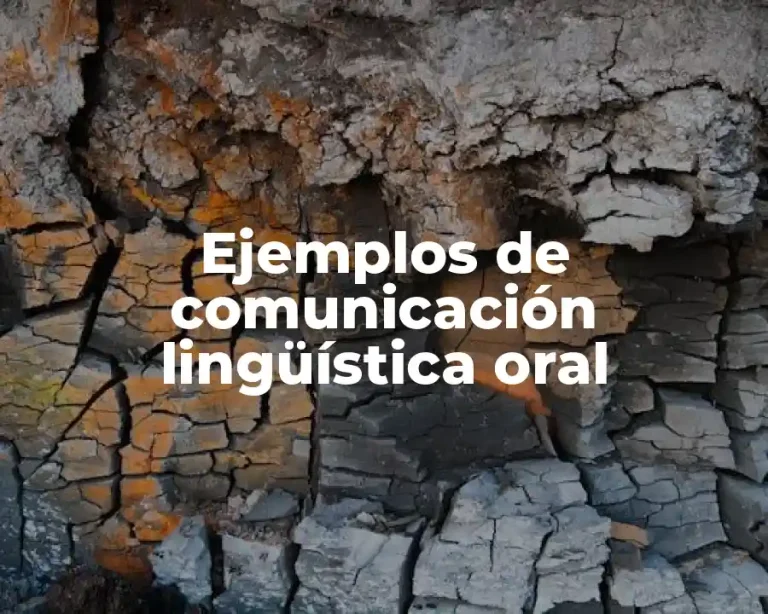 Ejemplos de comunicación lingüística oral