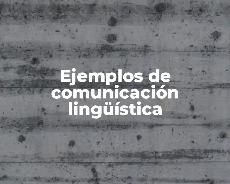 Ejemplos de comunicación lingüística