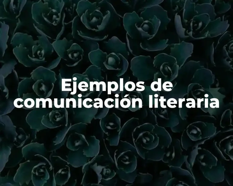 Ejemplos de comunicación literaria