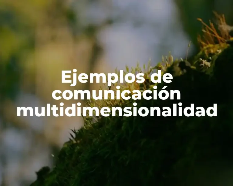 Ejemplos de comunicación multidimensionalidad