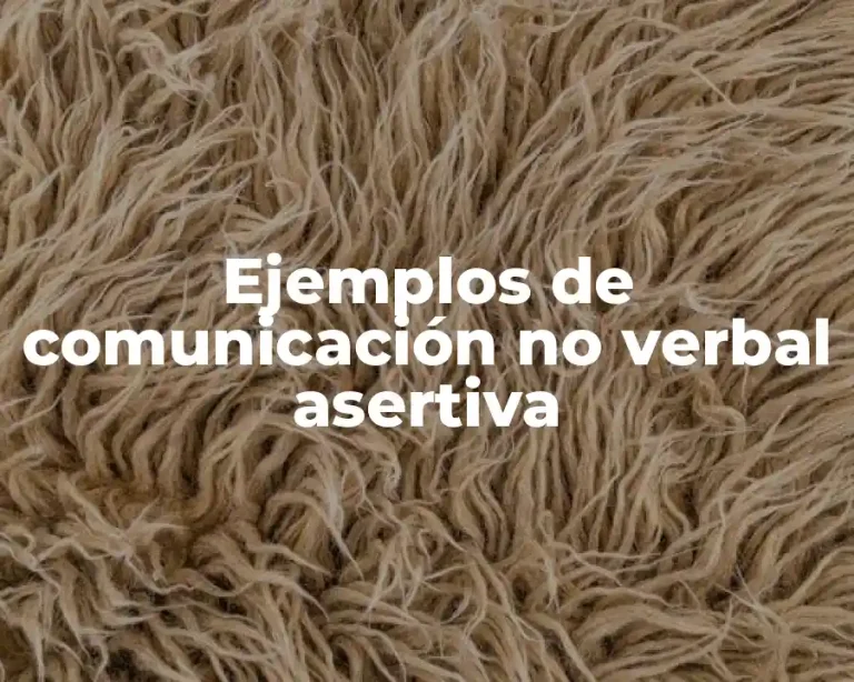 Ejemplos de comunicación no verbal asertiva