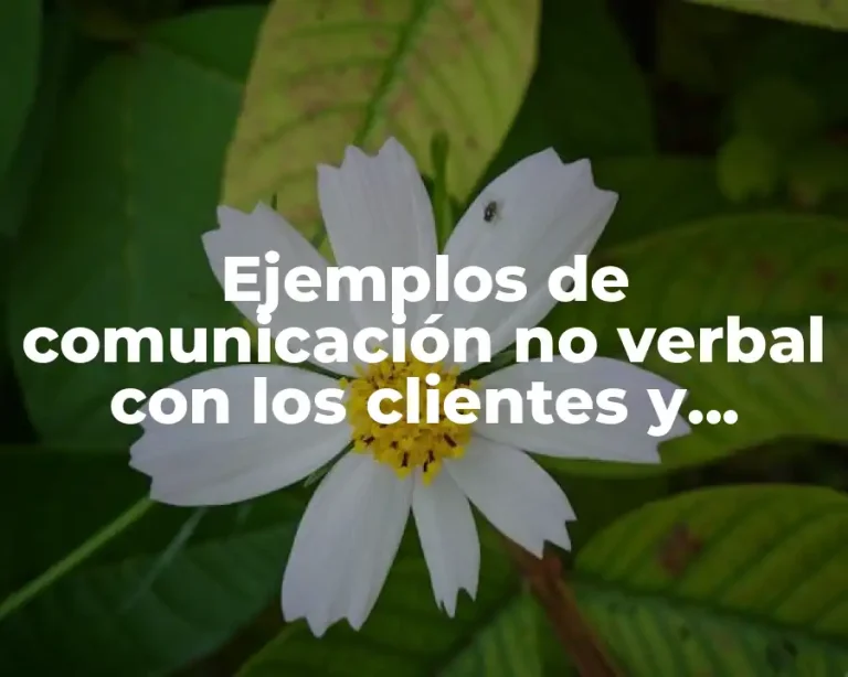 Ejemplos de comunicación no verbal con los clientes y Significado