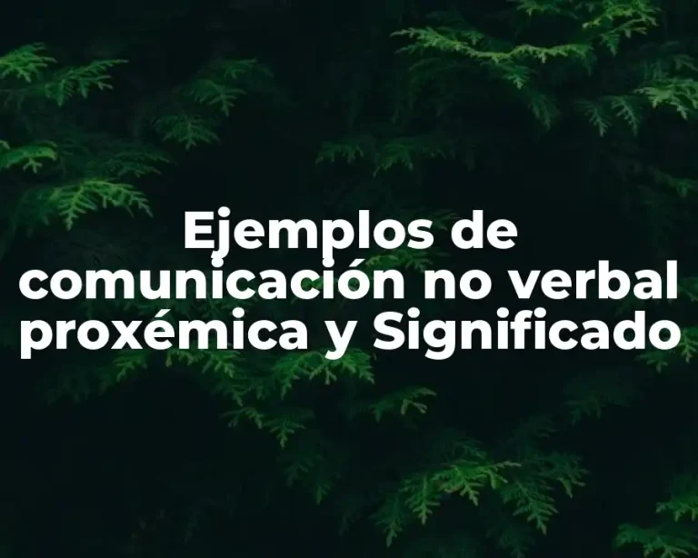 Ejemplos de comunicación no verbal proxémica y Significado